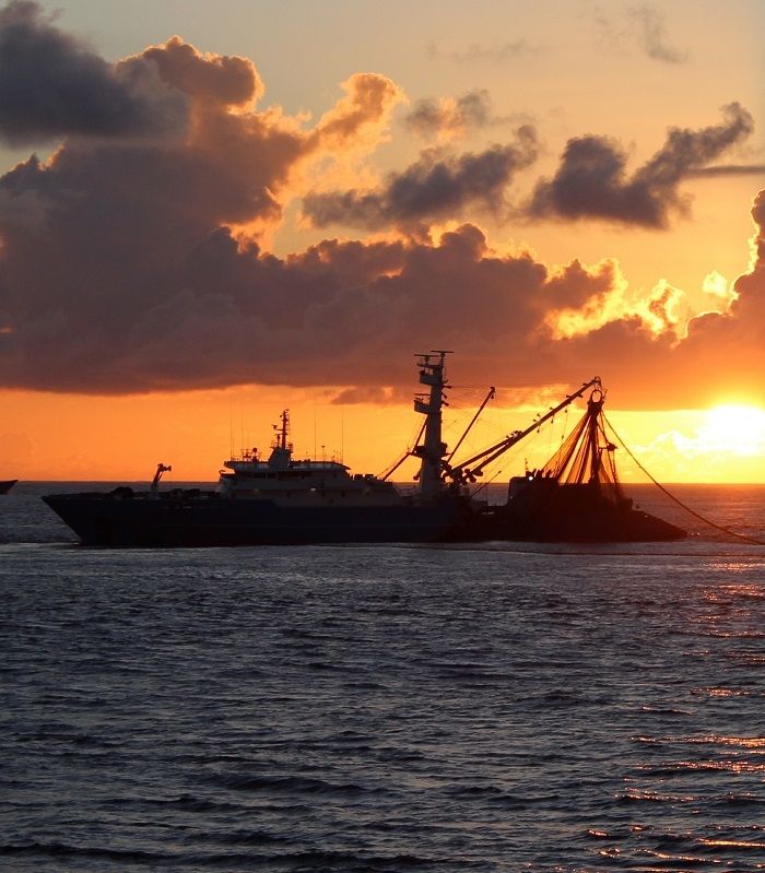 La nostra flotta